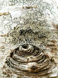 Close-up of water on beach