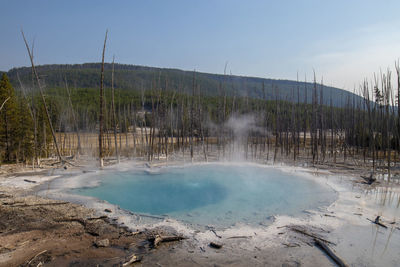 Hot spring at yellowstone national park