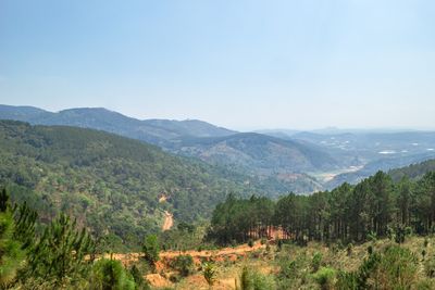 environment