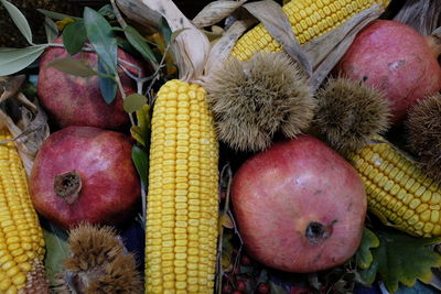 Close-up of fruits