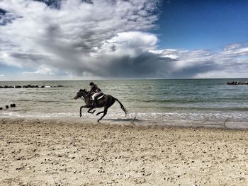 Dog standing on beach against cloudy sky