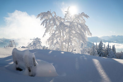 Frozen park bench covered in deep snow in beautiful winter wonderland, salzburg, austria.