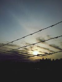 Silhouette of trees at sunset