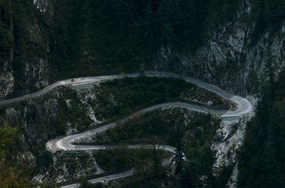 High angle view of road amidst trees in forest