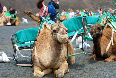 Lanzarote, spain