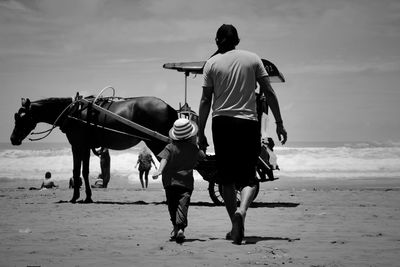 Rear view of people riding horse on beach