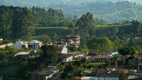 High angle view of trees and buildings in city