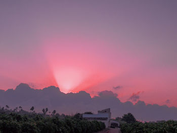 Silhouette trees against sky during sunset
