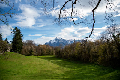 Scenic view of landscape against sky