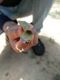 Close-up of snake on finger