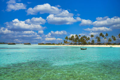 Beautiful coral reef sea of the maldives in the indian ocean