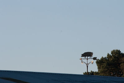 Bird perching against clear sky