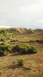 Scenic view of sand dunes against sky