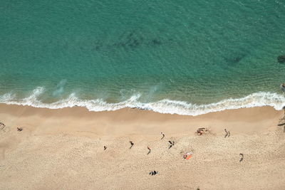 High angle view of birds on beach