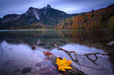 Autumn on an alp lake