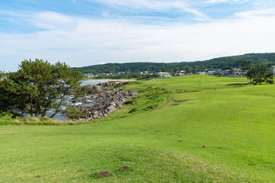 Scenic view of landscape against sky