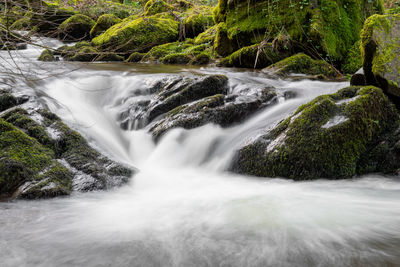 Scenic view of waterfall in forest