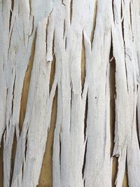 Full frame shot of dry bark