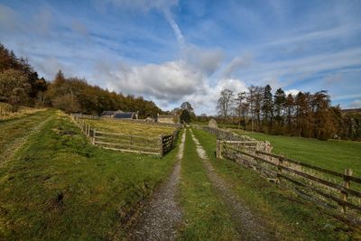 Panoramic shot of trees on field against sky