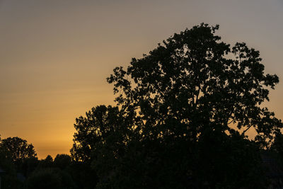 Low angle view of silhouette trees against sky at sunset