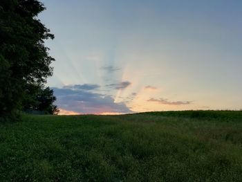 Scenic view of field against sky during sunset