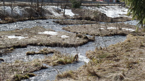 Close-up high angle view of water