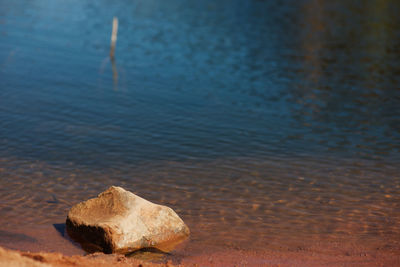 High angle view of rocks on beach