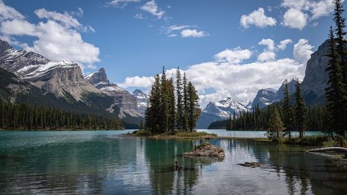 Scenic view of lake by trees against sky