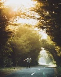 Country road along trees