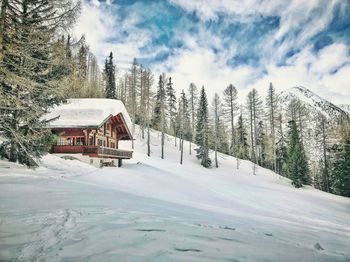 Scenic view of snow covered landscape