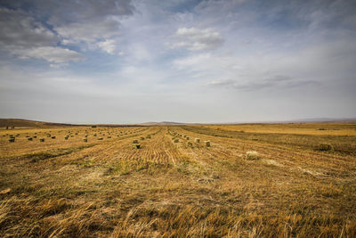 Beautiful yellow prairie under the mountain in autumn