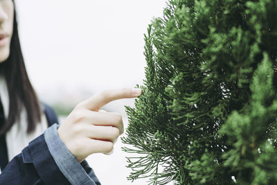 Cropped hand touching christmas tree