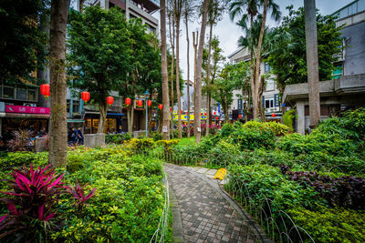 Footpath amidst plants and buildings in city