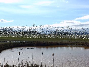 Scenic view of lake against sky during winter