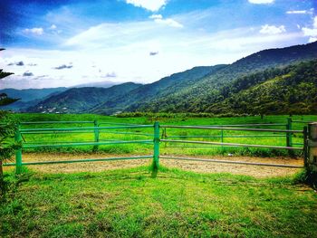 Scenic view of grassy field against cloudy sky