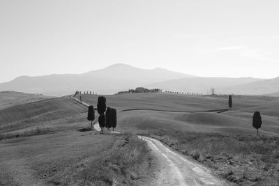 Rear view of people on road amidst field against sky