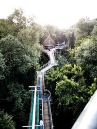 Bridge amidst trees against sky