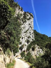 Low angle view of trees on mountain against sky