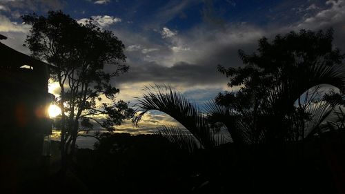 Silhouette palm trees at sunset