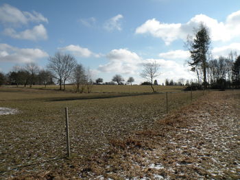 Scenic view of field against sky