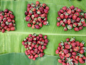 High angle view of strawberries