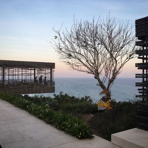 Bare tree by sea against sky