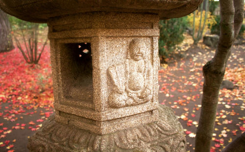 Close-up of autumn tree