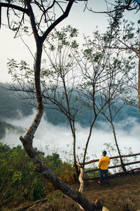 Man standing by tree against sky