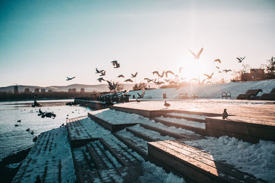 Seagulls flying over sea against sky during sunset