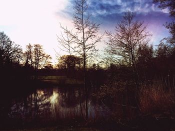 Reflection of trees in lake