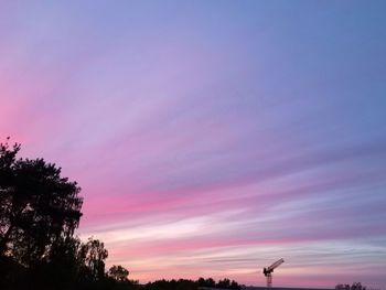 Low angle view of silhouette trees against sky during sunset