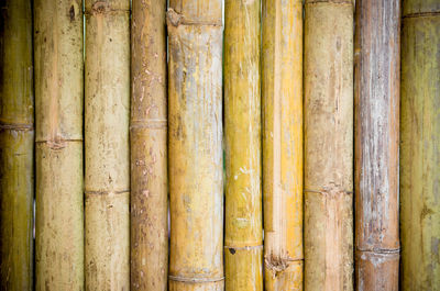 Full frame shot of bamboo on wood