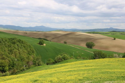 Scenic view of landscape against sky