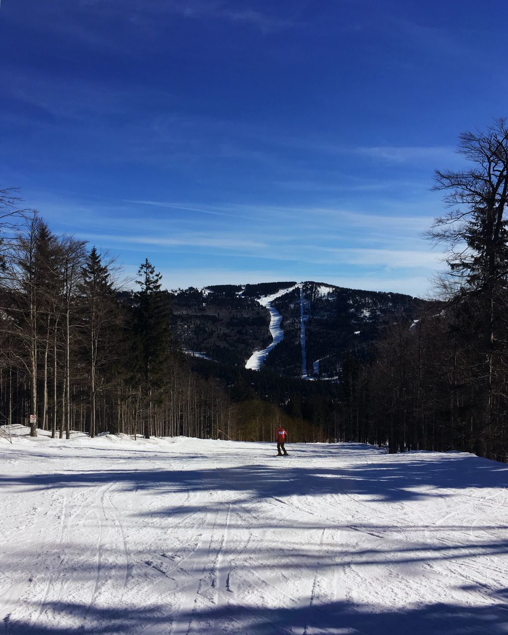 snow, cold temperature, winter, tree, mountain, sky, sport, winter sport, one person, leisure activity, land, nature, plant, lifestyles, real people, beauty in nature, scenics - nature, mountain range, day, outdoors, snowcapped mountain